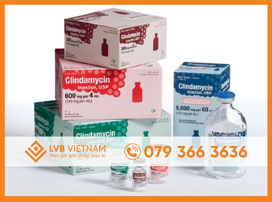 Hộp giấy đựng dược phẩm